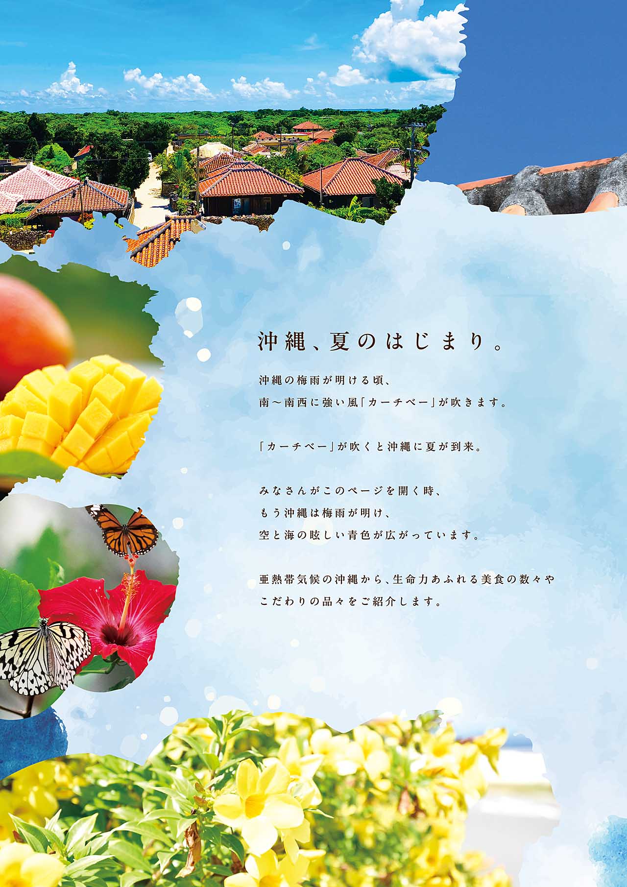 沖縄、夏のはじまり。